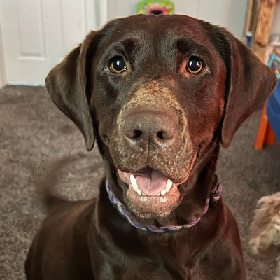 Mia