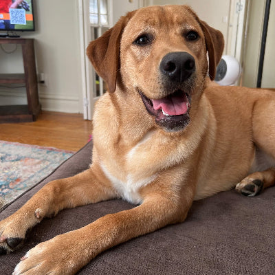 Ellie
