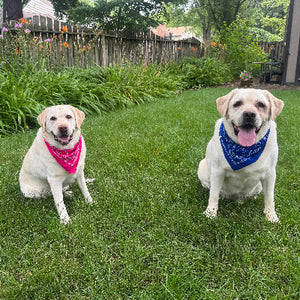 Prince & Olivia