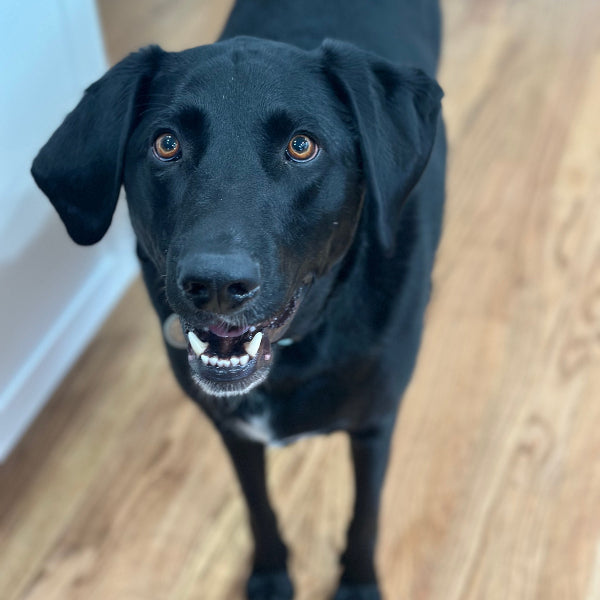 Mac