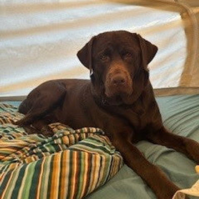 Sir Gunner