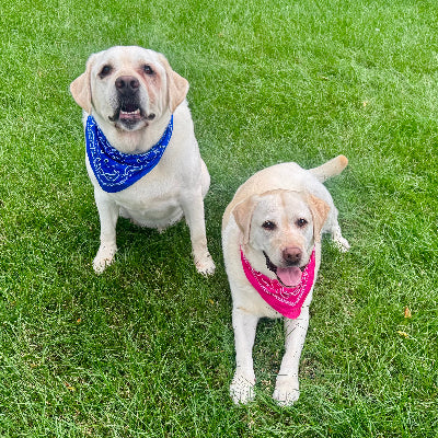 Prince & Olivia