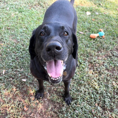 Norma Jean