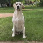 Deke