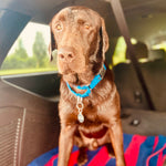 Gunner Boy