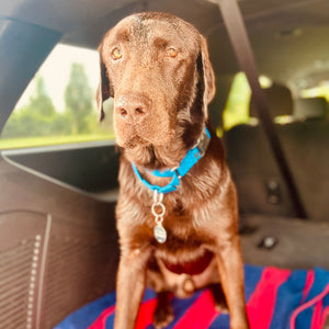 Gunner Boy