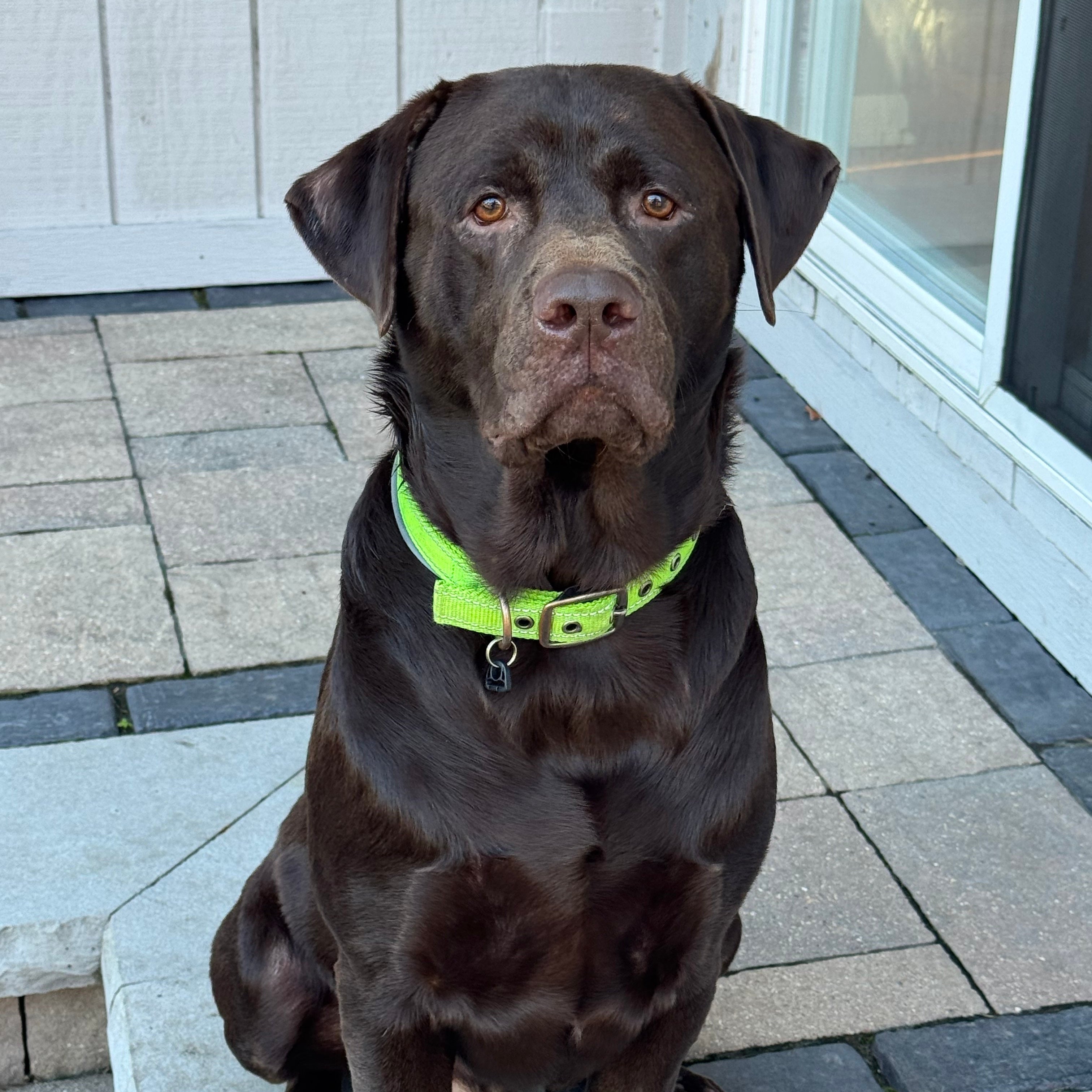 Sir Gunner