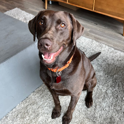 Gus