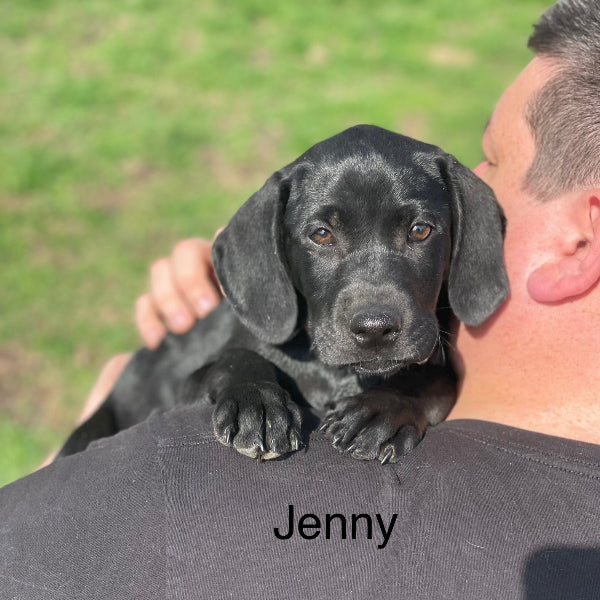 Jenny