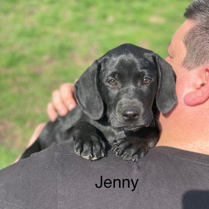 Jenny