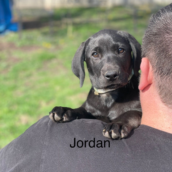 Jordan