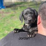 Jordan
