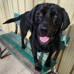 Tucker
