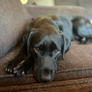 Georgia