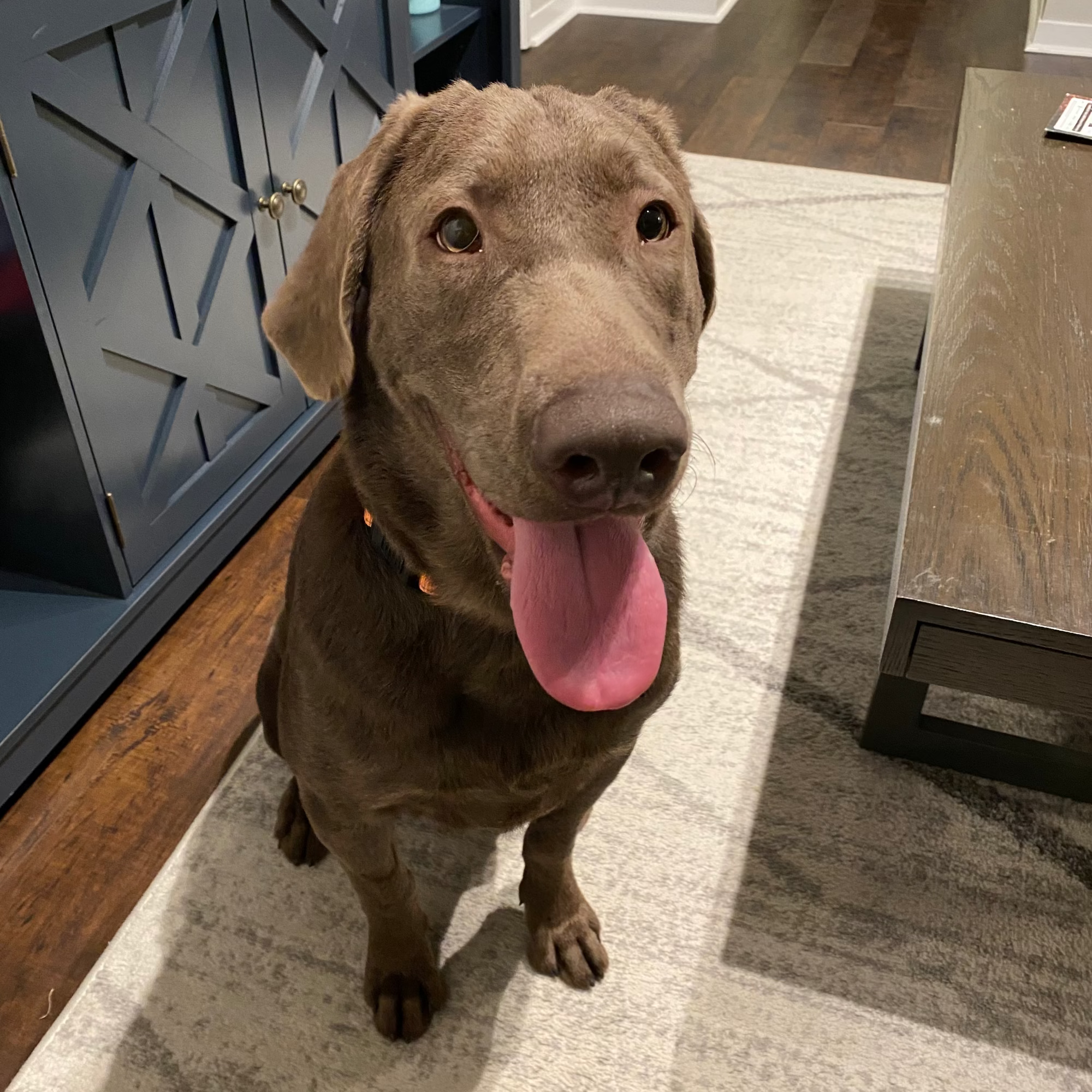 Slate Adoption Pending