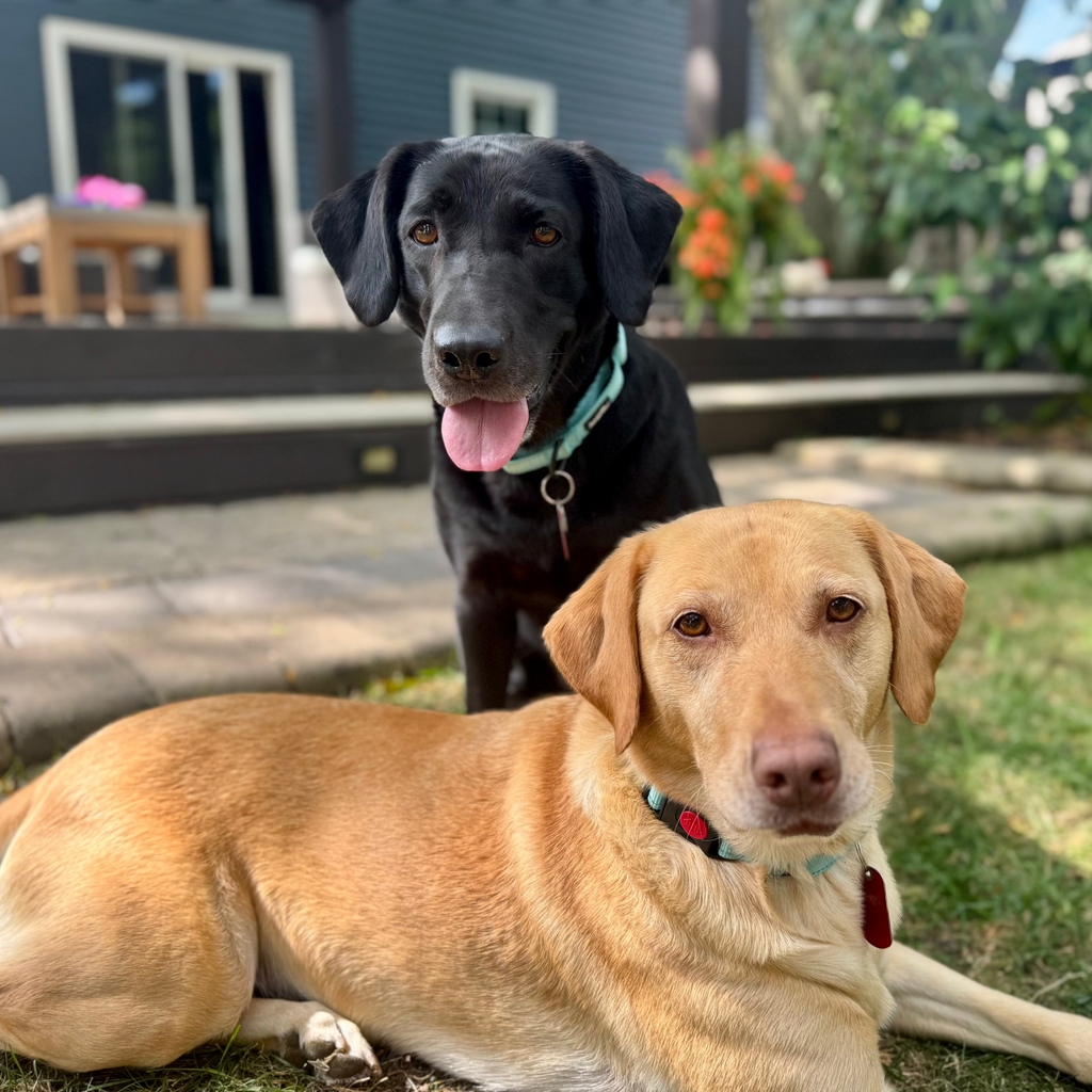 Mavis and Lila