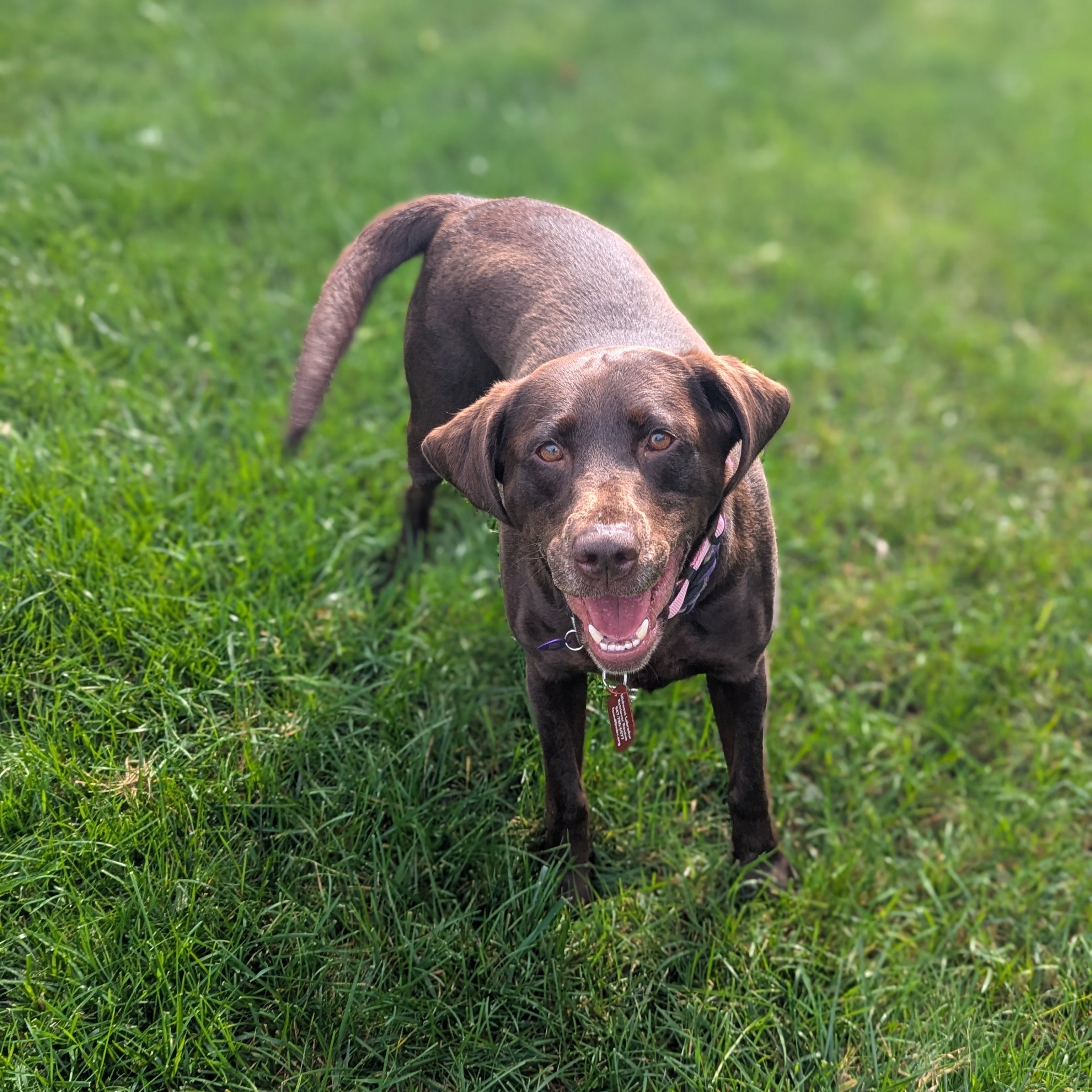 Mia