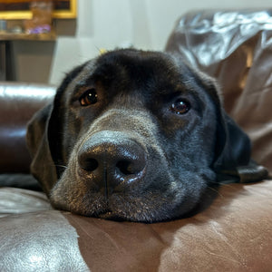 Nash