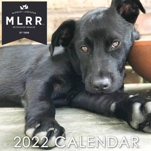 2022 MLRR Calendar