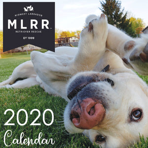 2020 MLRR Calendar