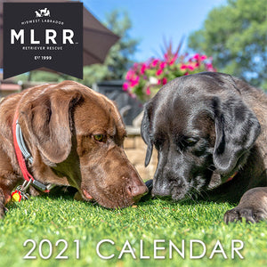 2021 MLRR Calendar