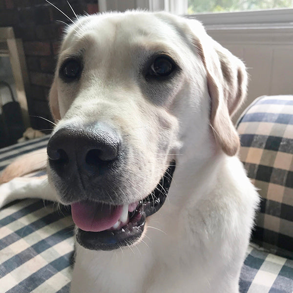 Jack