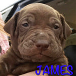 James