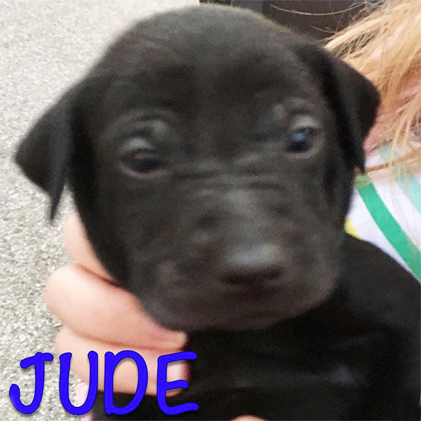 Jude