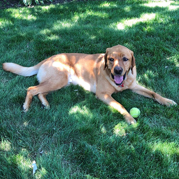 Ralphie